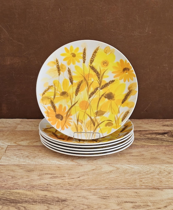 Hard plastic dinnerware hot sale
