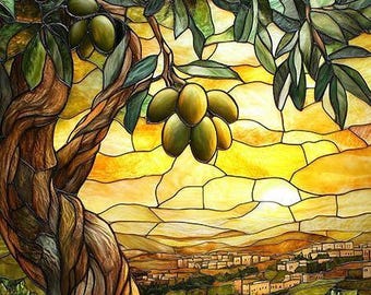 Jerusalem Olive Trees Art – Israel Landscape Wall Art (Canvas, Metal, Acrylic)