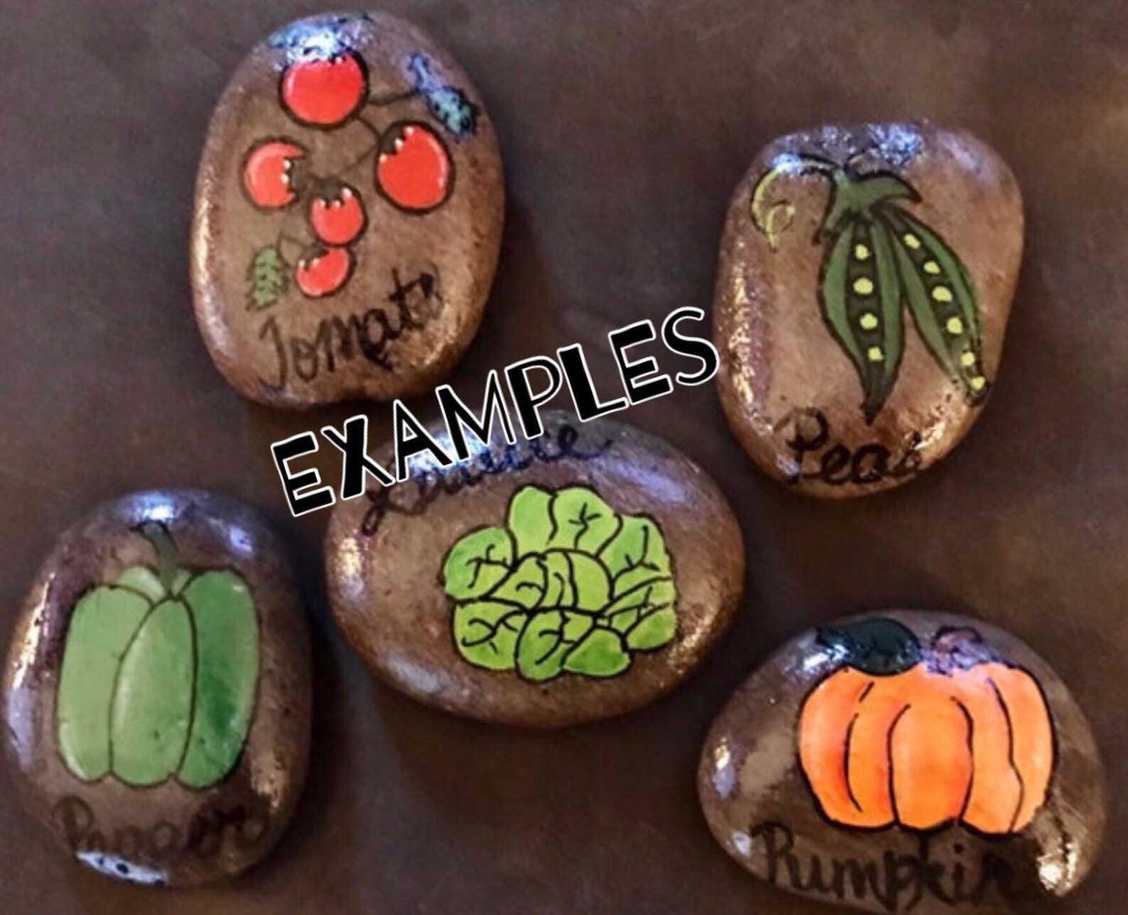 Vegetable Garden Stone Marker Painted Rock Vegetables Herbs Etsy