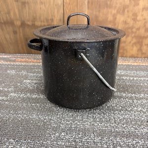 May include: Black speckled enamelware pot with lid and handle. The pot has a handle on each side and a wire handle for carrying. The pot is sitting on a gray rug.
