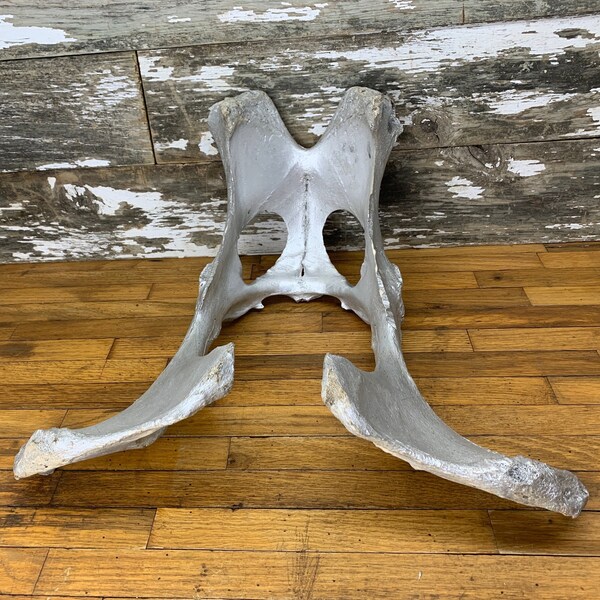 Bone Ritual Mask Bone Mask - Etsy