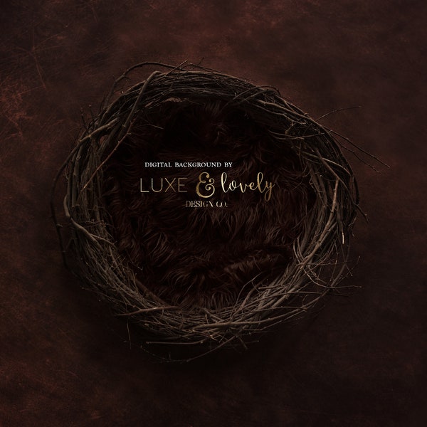 Newborn Photography Digital Background Prop, Dark Brown Nest