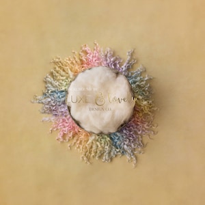 Newborn Photography Digital Background Prop, Rainbow