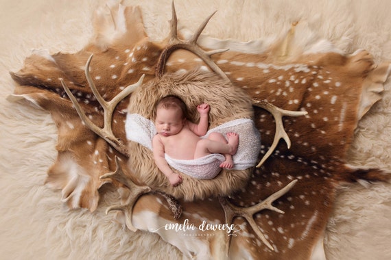 Newborn Photography Digital Background, Deer Skin & Antlers -  Canada
