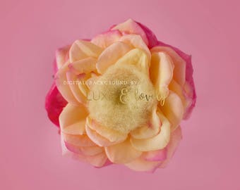 Newborn Photography Prop Digital Background, Pink and Yellow Flower