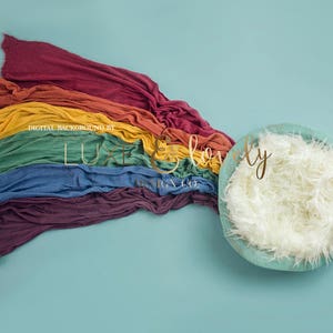 Newborn Photography Digital Background, Rainbow