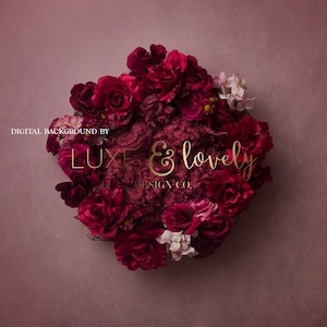 Newborn Photography Digital Background Prop, Roses