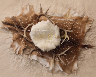 Newborn Photography Digital Background, Deer Skin & Antlers