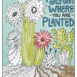 Digital Coloring Page Printable Download, Bloom Where You are Planted Cactus, Inspirational Gift, High School Student, Teen Graduation image 10