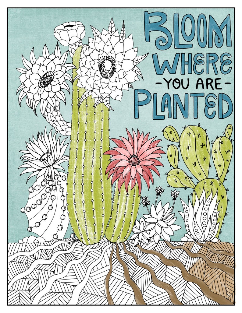 Digital Coloring Page Printable Download, Bloom Where You are Planted Cactus, Inspirational Gift, High School Student, Teen Graduation image 10