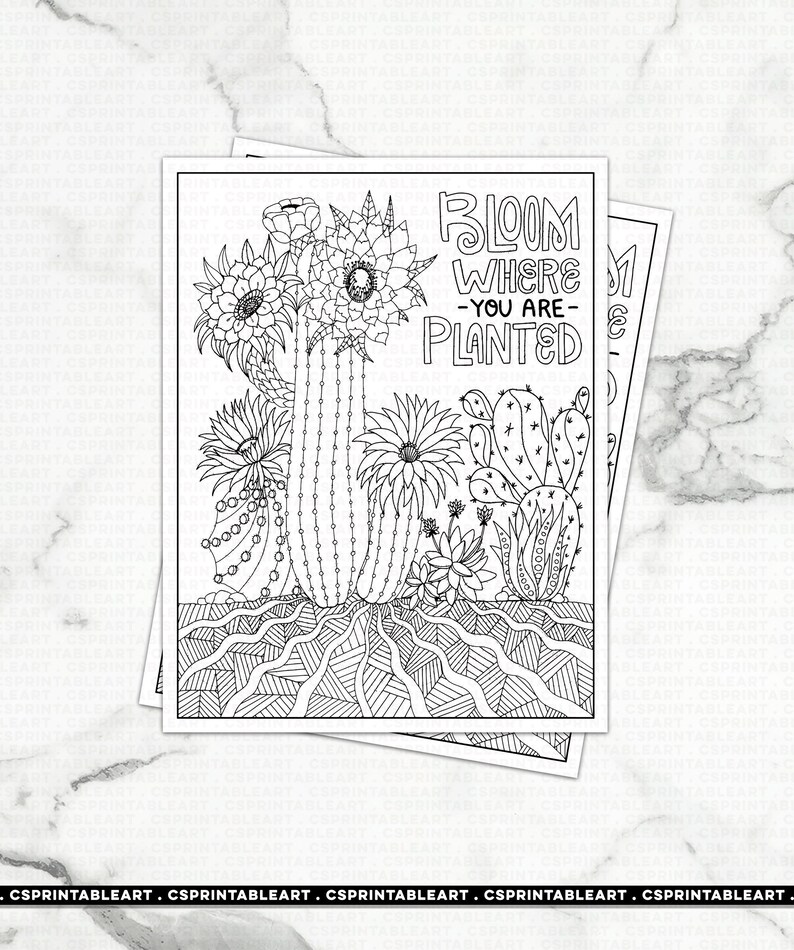 Digital Coloring Page Printable Download, Bloom Where You are Planted Cactus, Inspirational Gift, High School Student, Teen Graduation image 1