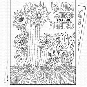 Digital Coloring Page Printable Download, Bloom Where You are Planted Cactus, Inspirational Gift, High School Student, Teen Graduation image 2