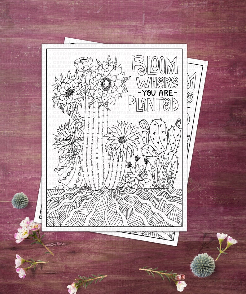Digital Coloring Page Printable Download, Bloom Where You are Planted Cactus, Inspirational Gift, High School Student, Teen Graduation image 6