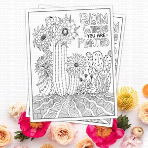 Digital Coloring Page Printable Download, Bloom Where You are Planted Cactus, Inspirational Gift, High School Student, Teen Graduation image 4