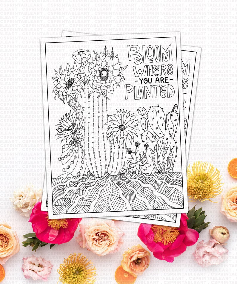 Digital Coloring Page Printable Download, Bloom Where You are Planted Cactus, Inspirational Gift, High School Student, Teen Graduation image 4