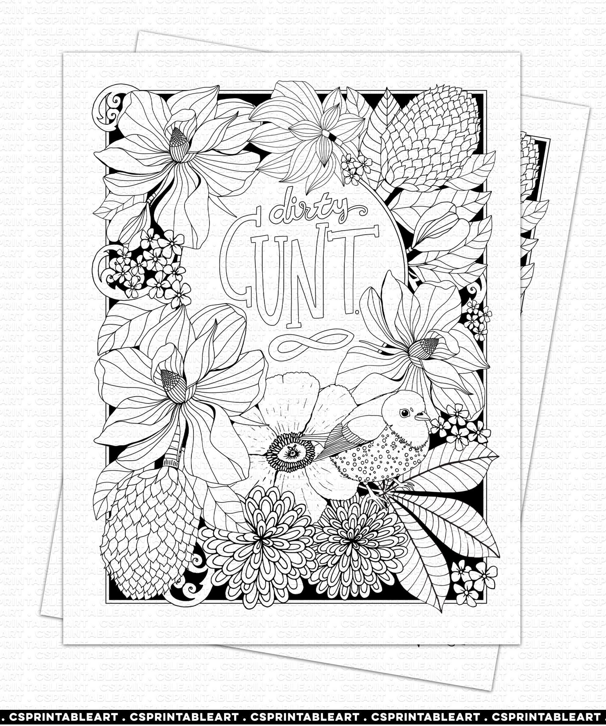 Buy Swear Word Colouring Book for Adults by The Coloring Book People With  Free Delivery