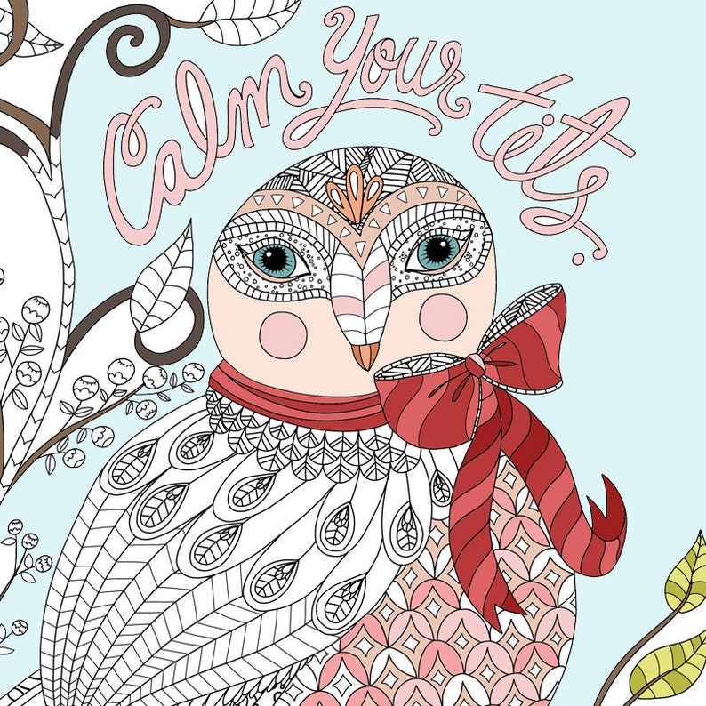 Calm Your Tits Sweary Adult Coloring Page Printable Art Owl - Etsy ...