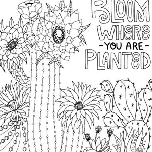 Digital Coloring Page Printable Download, Bloom Where You are Planted Cactus, Inspirational Gift, High School Student, Teen Graduation image 8