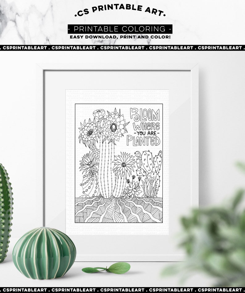 Digital Coloring Page Printable Download, Bloom Where You are Planted Cactus, Inspirational Gift, High School Student, Teen Graduation image 3