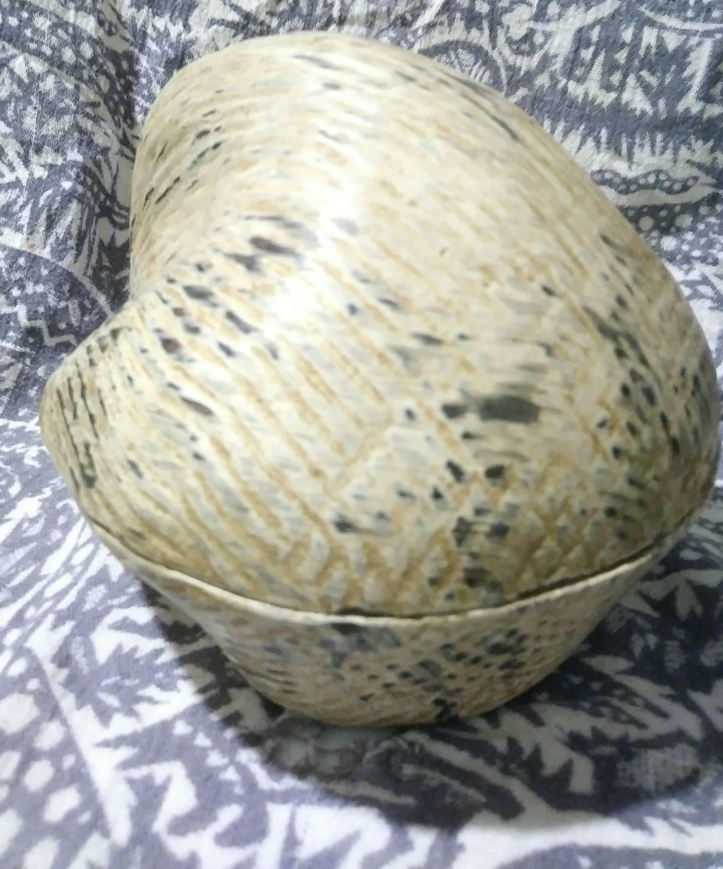 Wooden box shell clam shaped painted wooden box. Unusual and Unique. 60s