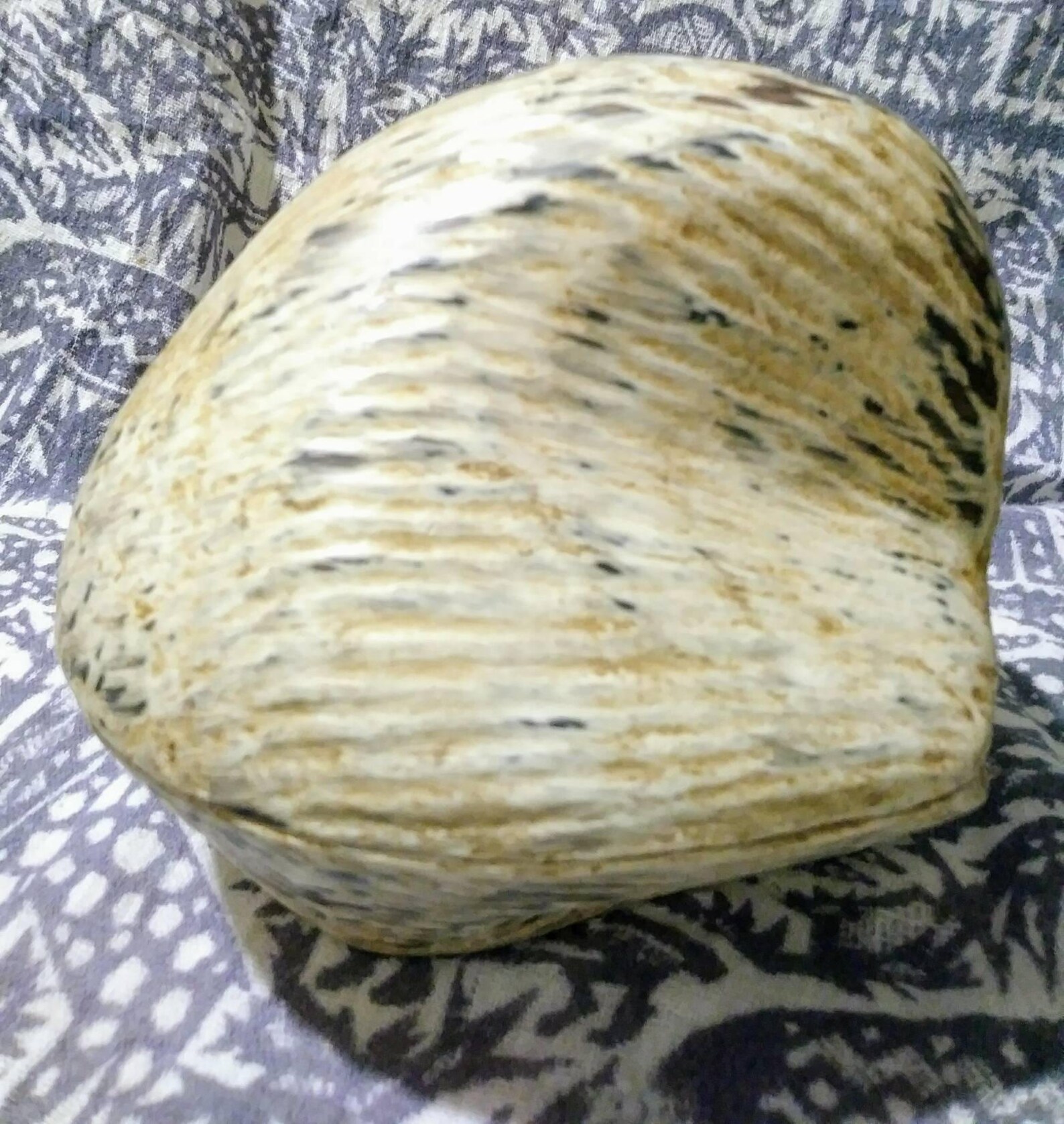 Wooden Box Shell Clam Shaped Painted Wooden Box. Unusual and Etsy