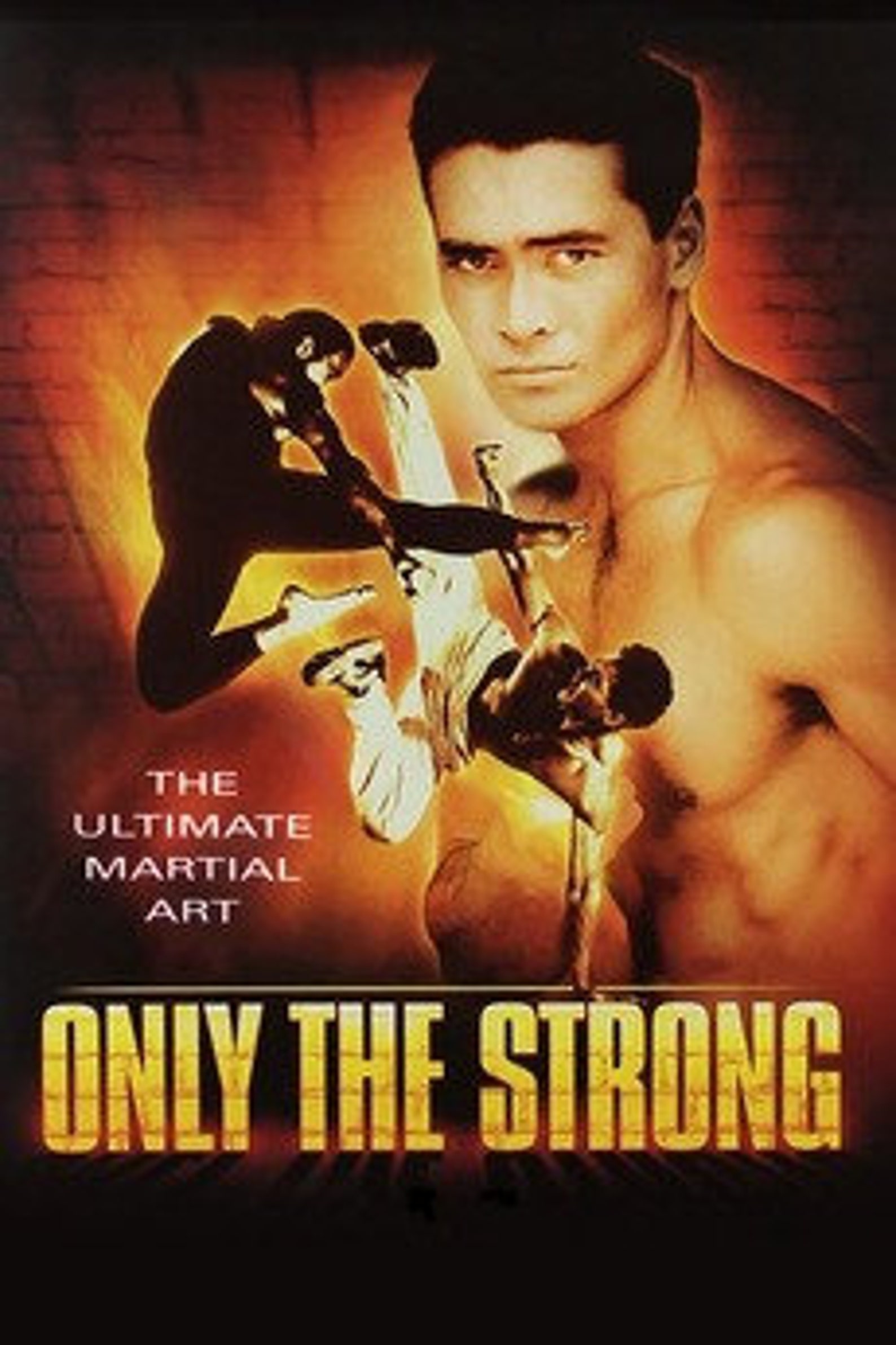 Classic Martial Arts Movies on USB Format Etsy