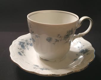 Blue Garland cup and saucer by Johann Haviland Bavaria Germany