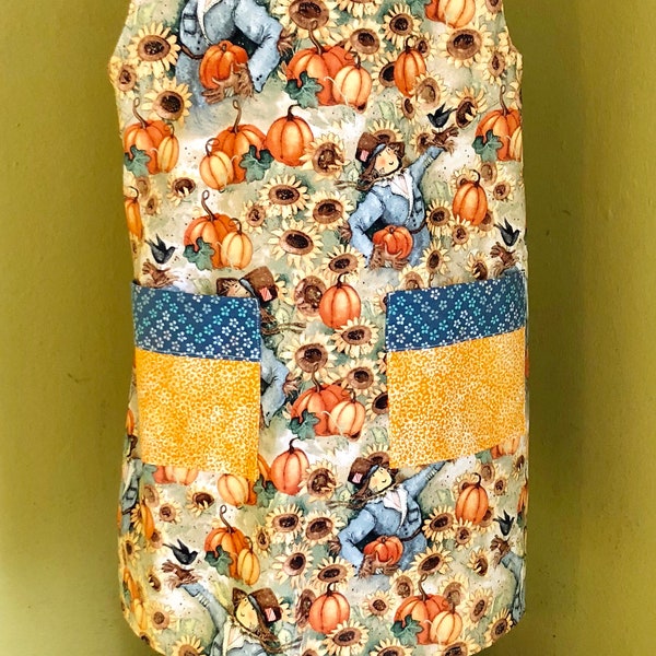 Pumpkin patch dress