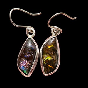 May include: Two teardrop earrings featuring ammolite gemstones set in silver. The ammolite stones display a spectrum of colours, including purple, blue, green, and gold. The earrings have a simple hook design.