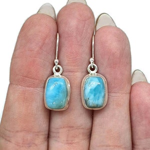 May include: A pair of silver dangle earrings with light blue rectangular labradorite gemstones.
