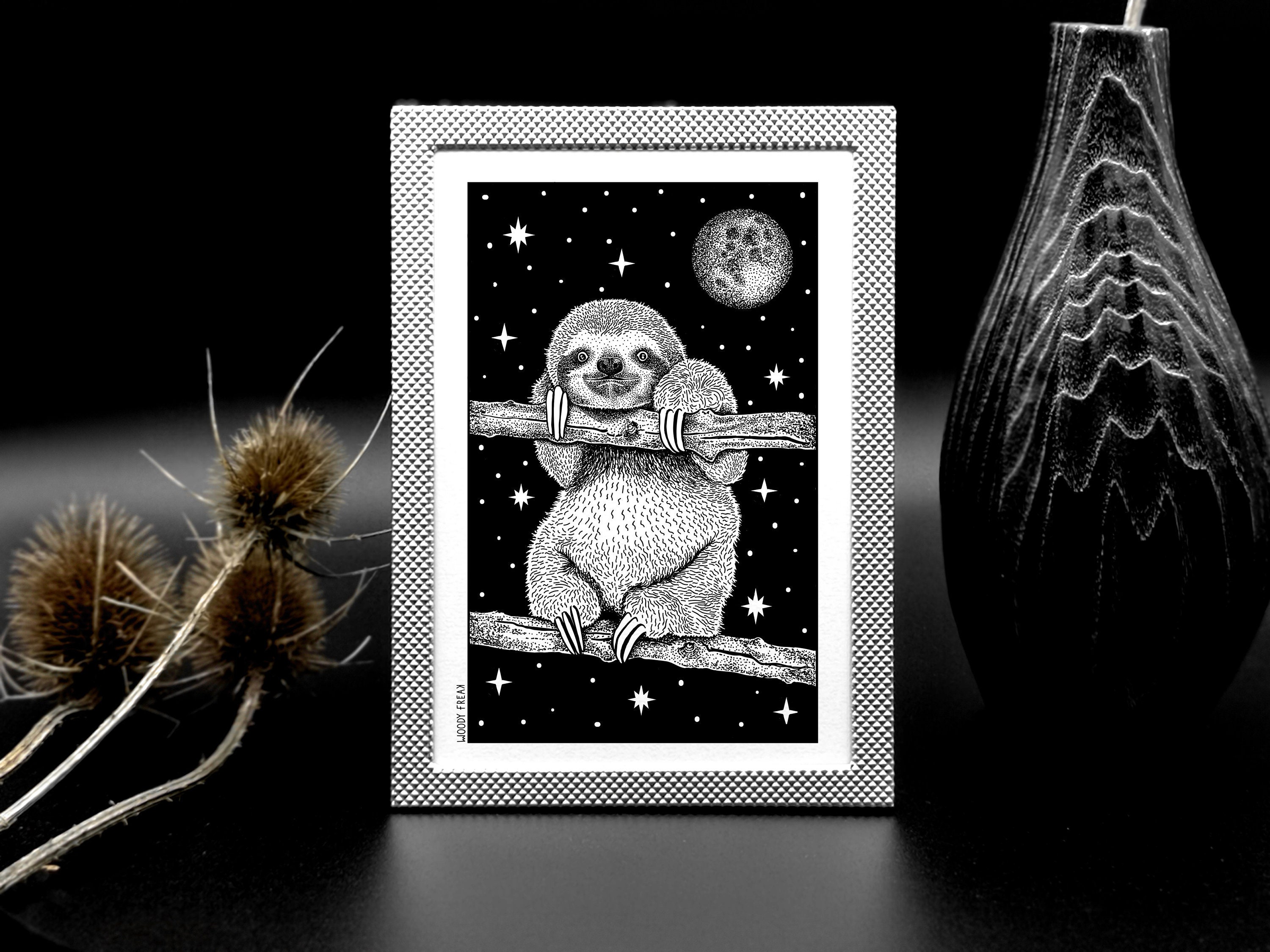 Dessin de Paresseux Encadré