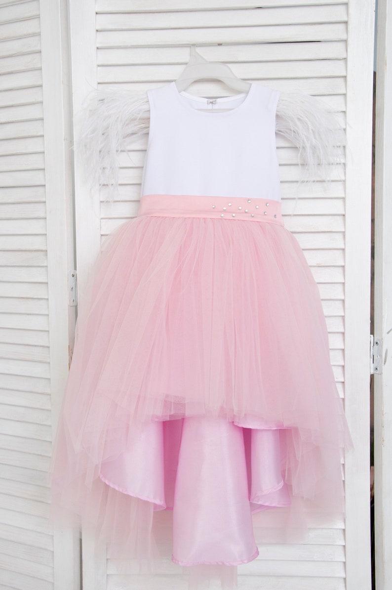 Mother daughter dress Mother daughter outfits Mommy and me dress Matching dresses Pink mother daughter Mother daughter tulle dress Family image 5