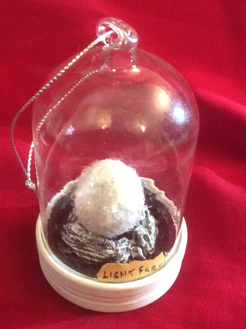 Miniature Light Fury Egg under Glass Dome Glow in the Dark Etsy