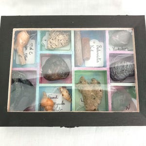 OOAK Collectors Treasure Box Of UK Fossils & Beachcombing Mudlark Finds