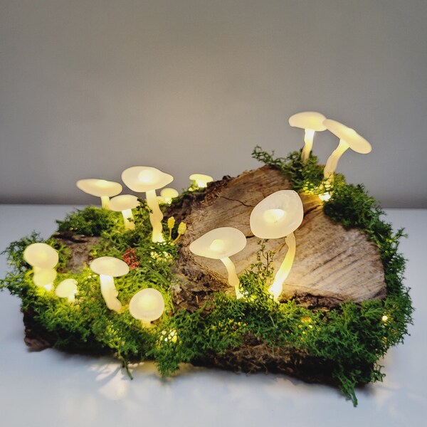 Lampe champignon 3