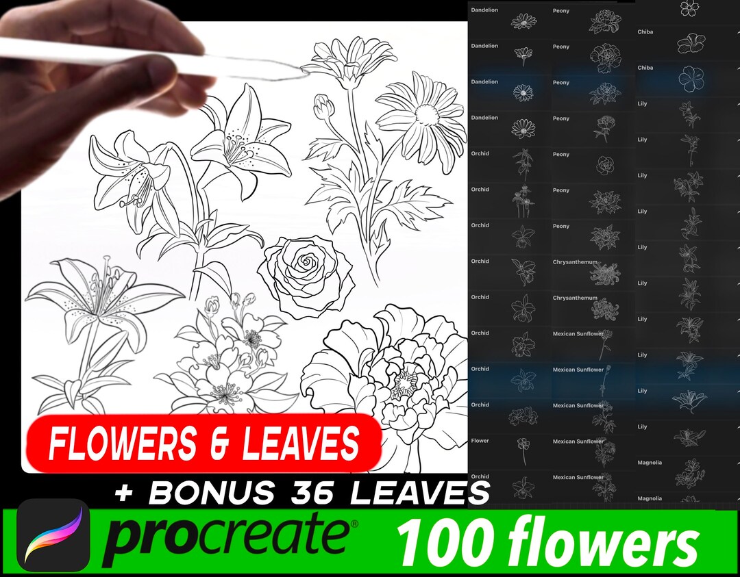 Flower Stamps for Procreate - Etsy