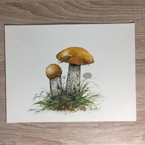 Aquarell Pilze, Steinpilze, Malerei, original Kunst, Aquarell