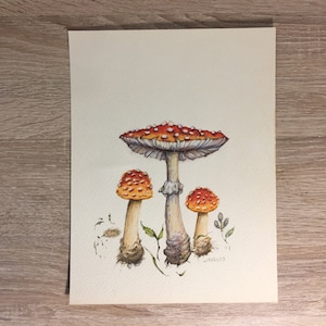 Painting of fly agaric mushrooms, original art, fly agaric, watercolor