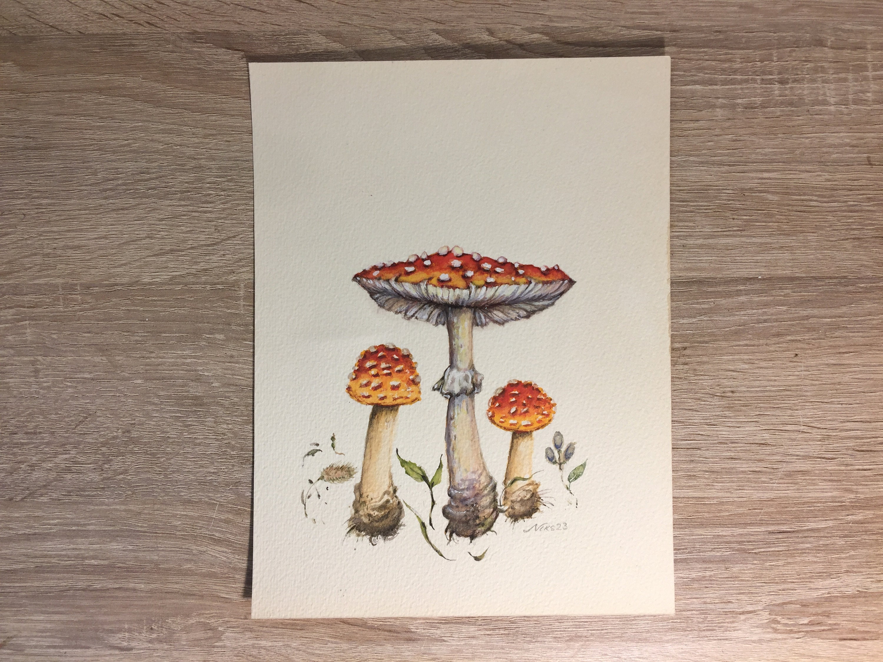 Painting of fly agaric mushrooms, original art, fly agaric, watercolor
