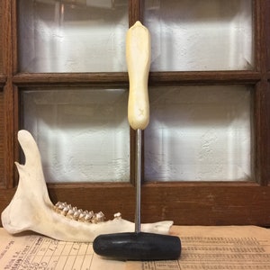 Puede incluir: Una herramienta con mango de madera, cabeza de metal negro y un largo eje de metal. La herramienta está apoyada en una mandíbula con dientes.