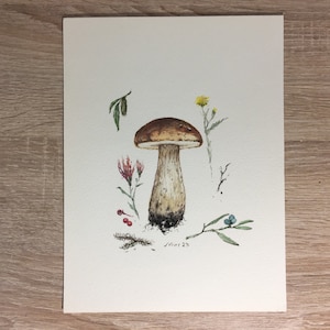 Watercolor mushrooms, boletus, Painting, original, watercolor.