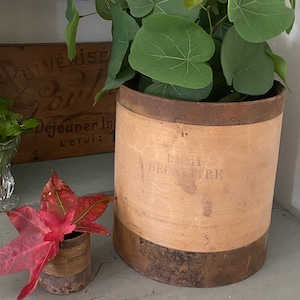 Peut inclure: Un grand pot cylindrique en bois avec des bandes métalliques, contenant une plante verte luxuriante aux grandes feuilles en forme de cœur. Un petit récipient assorti contient des feuilles rouges. Le pot porte l'inscription "DECATRE".