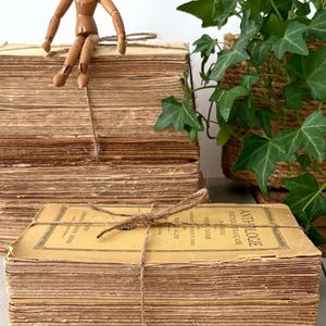 Può includere: Due pile di libri antichi con pagine ingiallite e consumate legate insieme con spago marrone. Il libro in alto riporta il testo Anthologie Poetique Francaise. Una piccola figura di manichino articolato in legno siede sulla pila posteriore.