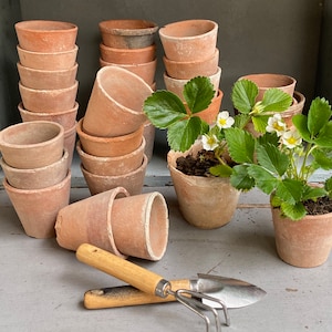 6 Vintage-Terrakottattöpfe aus Frankreich, Saattöpfe, Gartendekoration, Hochzeitsdekoration, ländlicher Stil