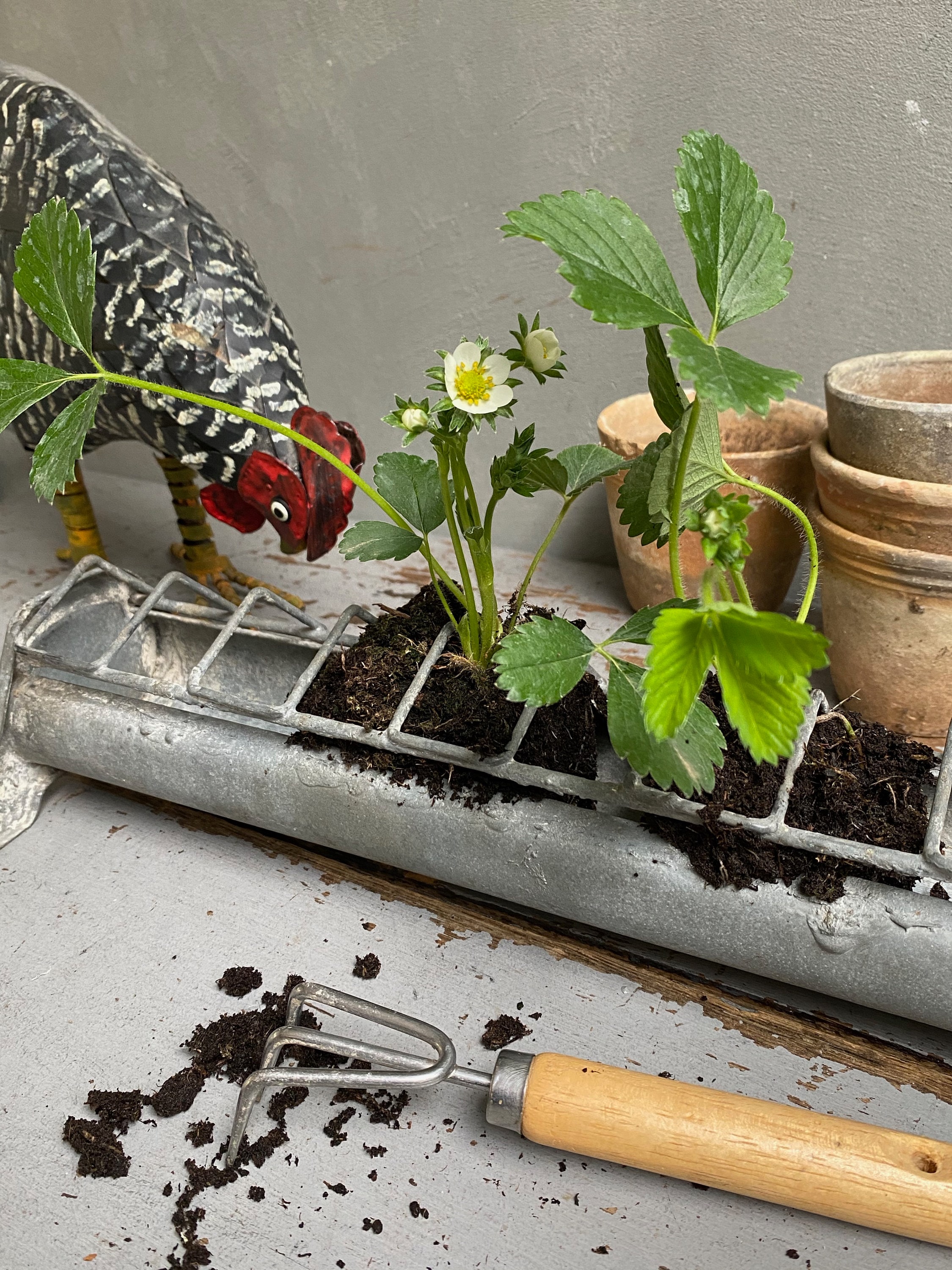 Petit Pot Ou Cache-pot En Tôle Peinte Ancien, Décor Oiseau (Bon état)
