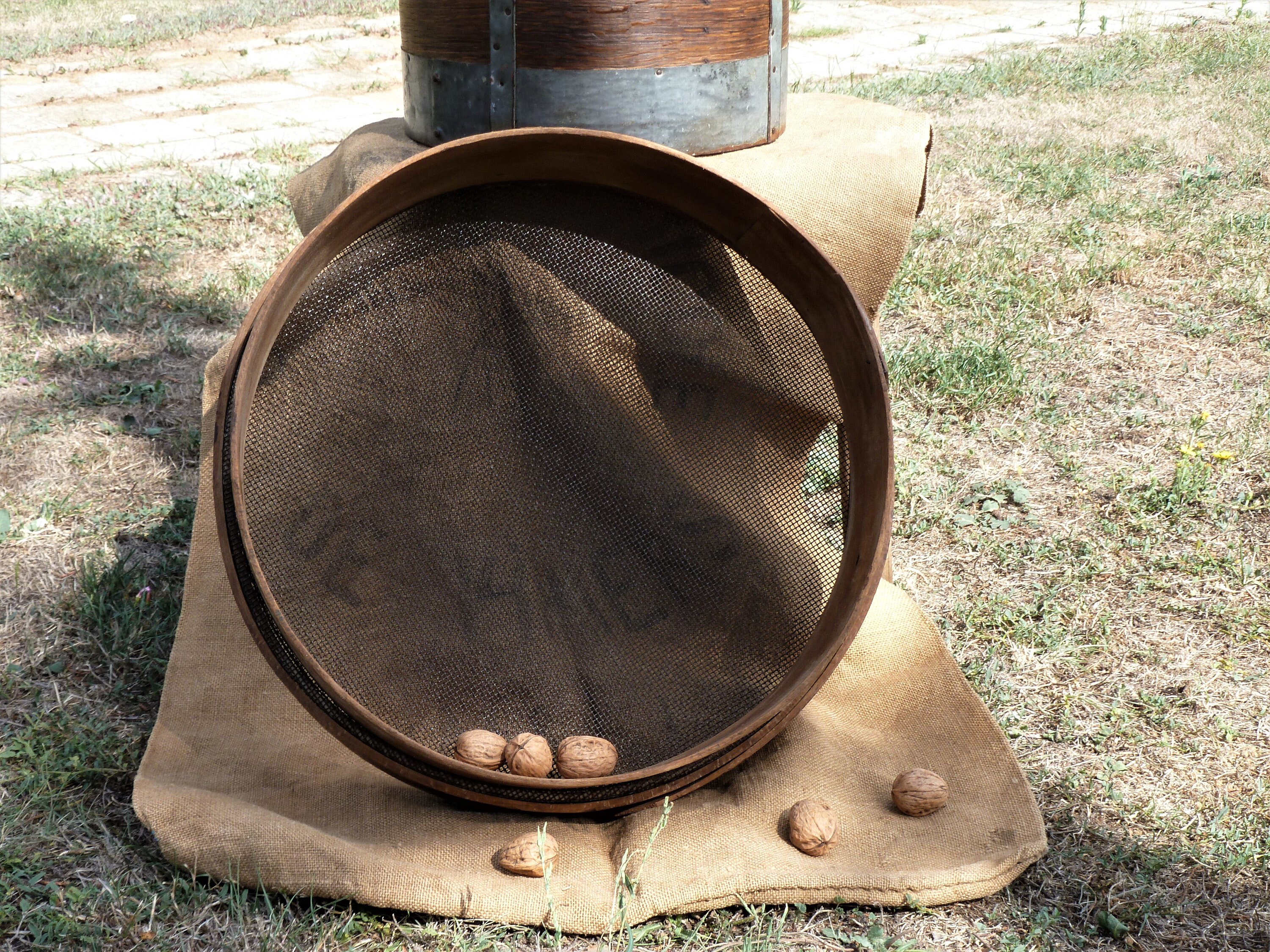 Ancien Tamis en Bois, à Grains, Ancien Outil de Ferme, Passoire Grains Vintage, Art Populaire, Déco 