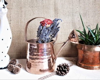 Copper and brass indoor garden watering can, cacti watering can, copper watering can for plants, vintage garden, French copper garden gift.