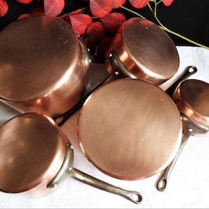 Peut inclure: Ensemble de casseroles et poêles en cuivre avec de longues poignées rivetées. La batterie de cuisine a une surface brillante et réfléchissante et des tailles variables. L'arrangement comprend une grande casserole, plusieurs poêles et une petite casserole. Le fond présente des feuilles rouges.