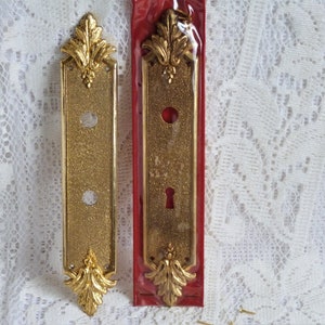 Può includere: Due placche per porte dorate e ornate con finitura strutturata. Ogni placca presenta decorazioni a forma di foglie nella parte superiore e inferiore. Una ha una serratura, l'altra due fori. Probabilmente vintage.