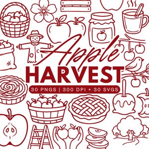 Puede incluir: Una colección de ilustraciones de líneas rojo oscuro con manzanas, una cesta, un espantapájaros, un tarro, una taza, un pastel, una escalera y un pájaro. El texto dice Apple HARVEST 30 PNGS | 300 DPI + 30 SVGS sobre un fondo blanco.